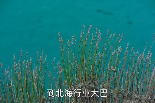 到北海行业大巴