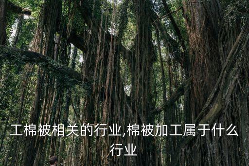 与加工棉被相关的行业,棉被加工属于什么行业