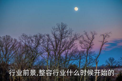 整容 行业前景,整容行业什么时候开始的