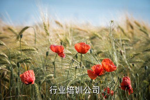 行业培训公司