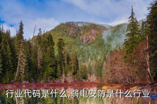 安防行业代码是什么,弱电安防是什么行业
