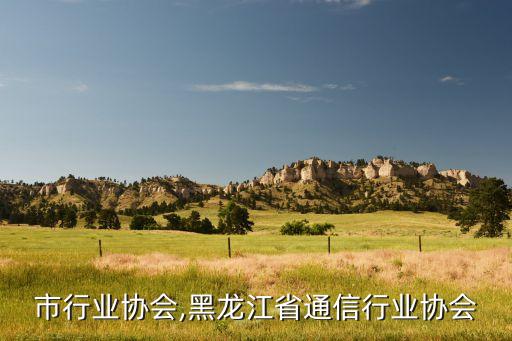 市行业协会,黑龙江省通信行业协会
