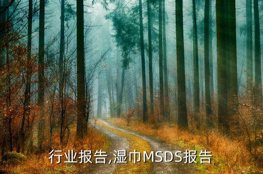 行业报告,湿巾MSDS报告