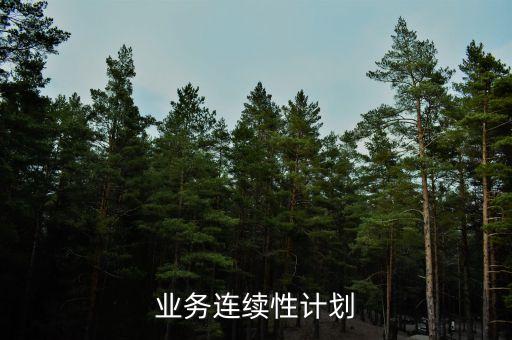 银行业务连续性计划