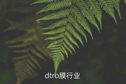 中国dtro膜行业
