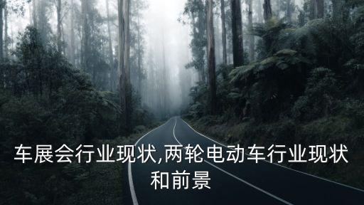 电动车展会行业现状,两轮电动车行业现状和前景