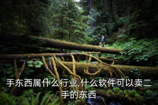 卖二手东西属什么行业,什么软件可以卖二手的东西