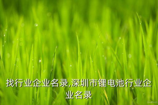 找行业企业名录,深圳市锂电池行业企业名录