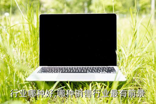 行业哪种好,哪种销售行业最有前景