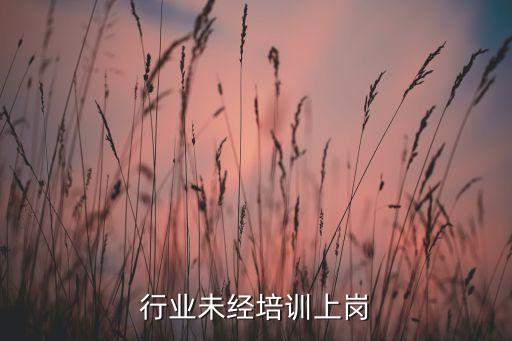 行业未经培训上岗