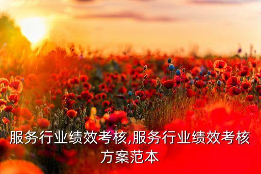汽车服务行业绩效考核,服务行业绩效考核方案范本