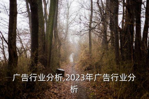 宜昌广告行业分析,2023年广告行业分析