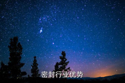 密封行业优势