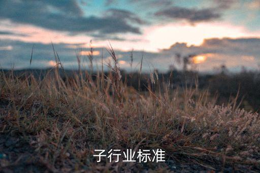 锂离子行业标准