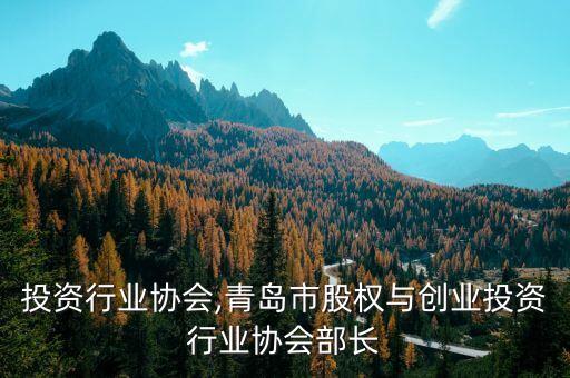 投资行业协会,青岛市股权与创业投资行业协会部长