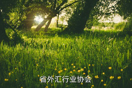 省外汇行业协会