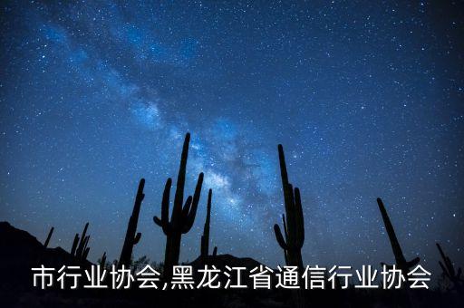 市行业协会,黑龙江省通信行业协会