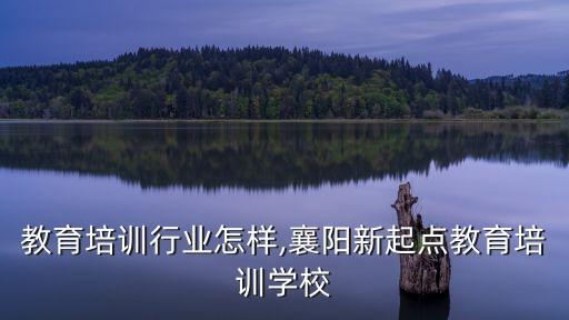 襄阳教育培训行业怎样,襄阳新起点教育培训学校