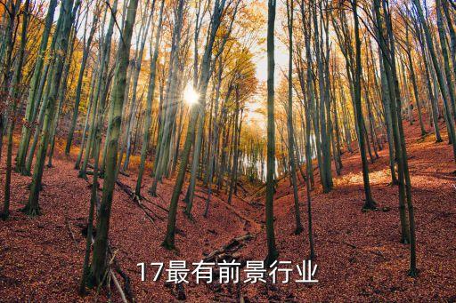 17最有前景行业