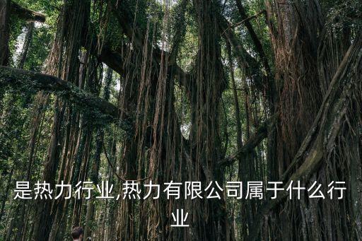 是热力行业,热力有限公司属于什么行业