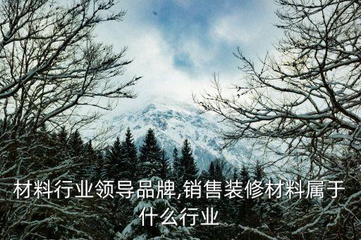 装修材料行业领导品牌,销售装修材料属于什么行业