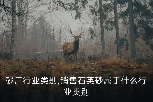 砂厂行业类别,销售石英砂属于什么行业类别