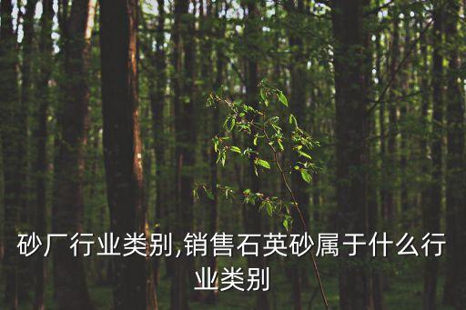 砂厂行业类别,销售石英砂属于什么行业类别