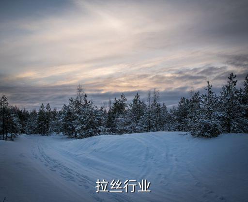 拉丝行业