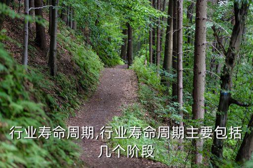 行业寿命周期,行业寿命周期主要包括几个阶段