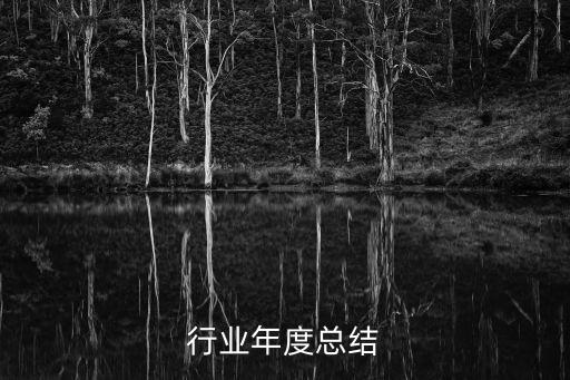 餐饮行业年度总结