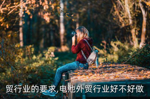 做外贸行业的要求,电池外贸行业好不好做