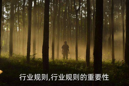 各种行业规则,行业规则的重要性