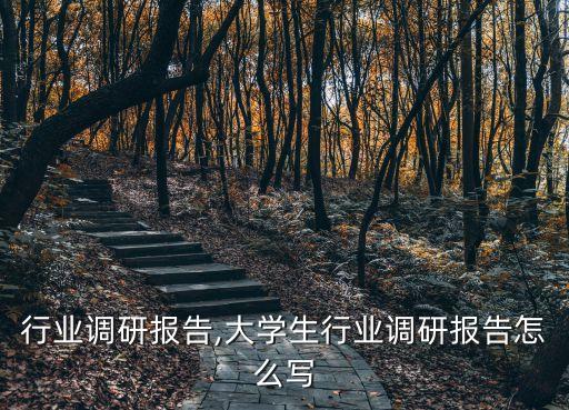 行业调研报告,大学生行业调研报告怎么写