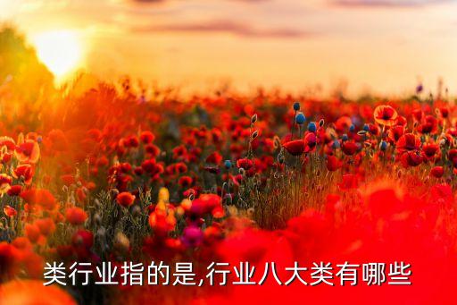 类行业指的是,行业八大类有哪些