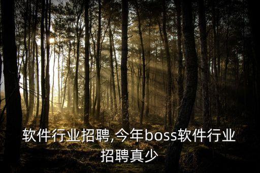 软件行业招聘,今年boss软件行业招聘真少