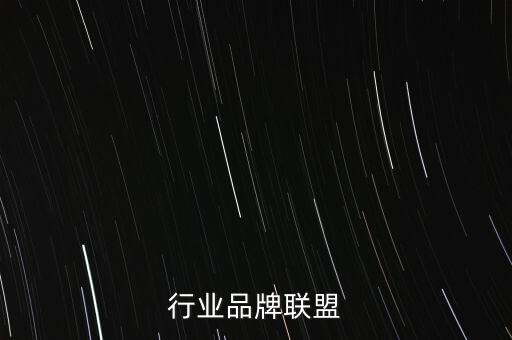 行业品牌联盟