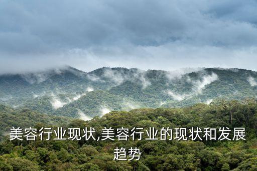 美容行业现状,美容行业的现状和发展趋势