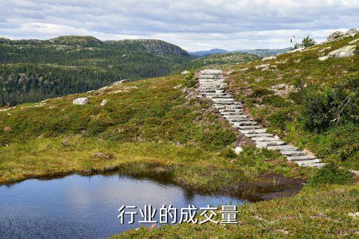 行业的成交量