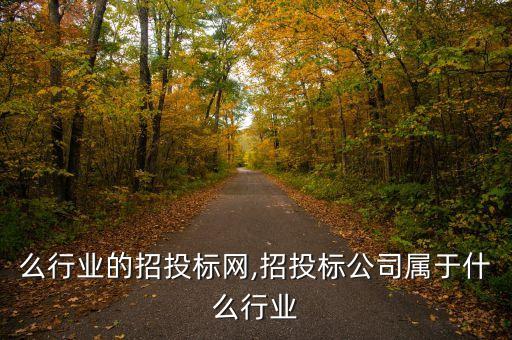 么行业的招投标网,招投标公司属于什么行业
