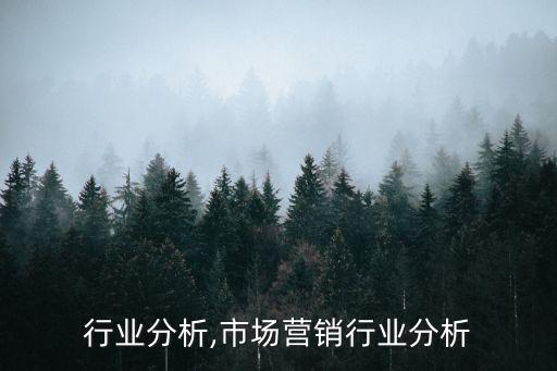 行业分析,市场营销行业分析