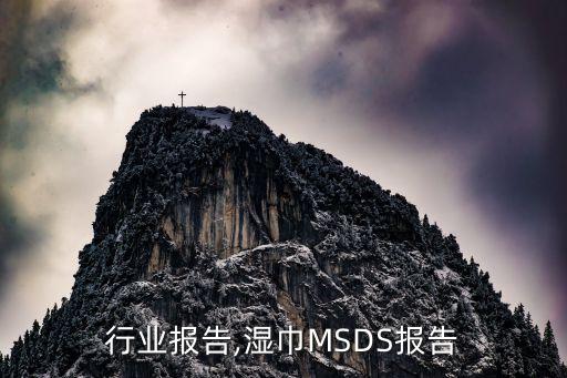 湿巾行业报告,湿巾MSDS报告