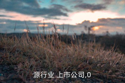 源行业 上市公司,0