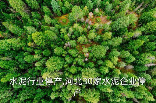 河北水泥行业停产,河北30家水泥企业停产