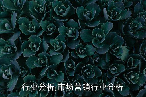 行业分析,市场营销行业分析