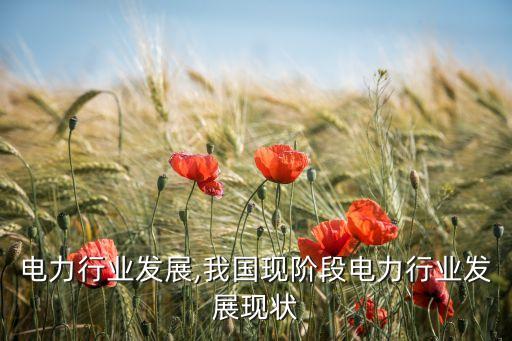 湖南电力行业发展,我国现阶段电力行业发展现状