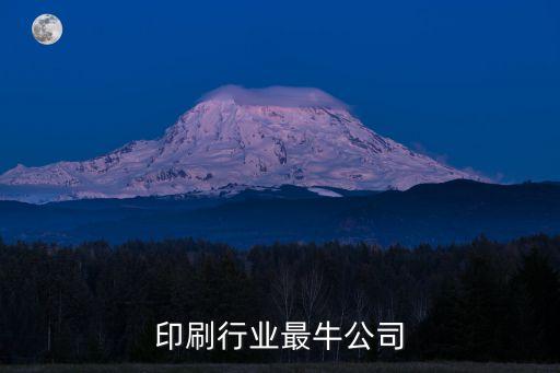 印刷行业最牛公司