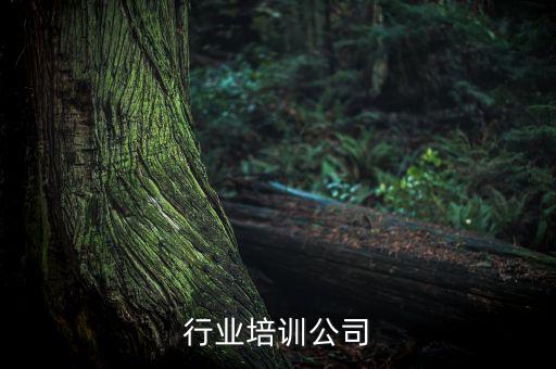 行业培训公司