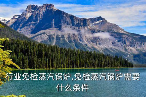 行业免检蒸汽锅炉,免检蒸汽锅炉需要什么条件