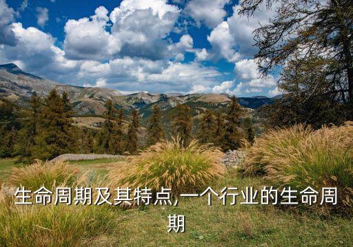 生命周期及其特点,一个行业的生命周期