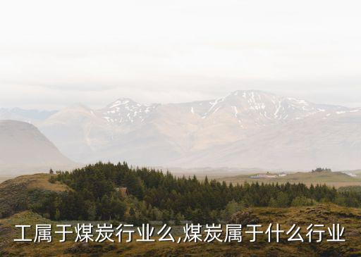 工属于煤炭行业么,煤炭属于什么行业